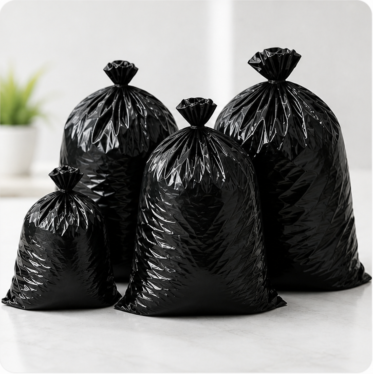 product showcase with garbage bags and tissue